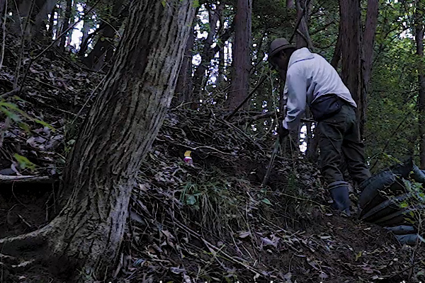 山で一人作業